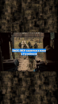 ТАСС: ВСУ сдаются в плен у Гуляйполя