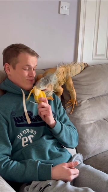 #приколы #юмор #прикол #смешно #топ #топчик #роликдня #видеодня #лучшее #лучшие #лучший #хит #хиты #