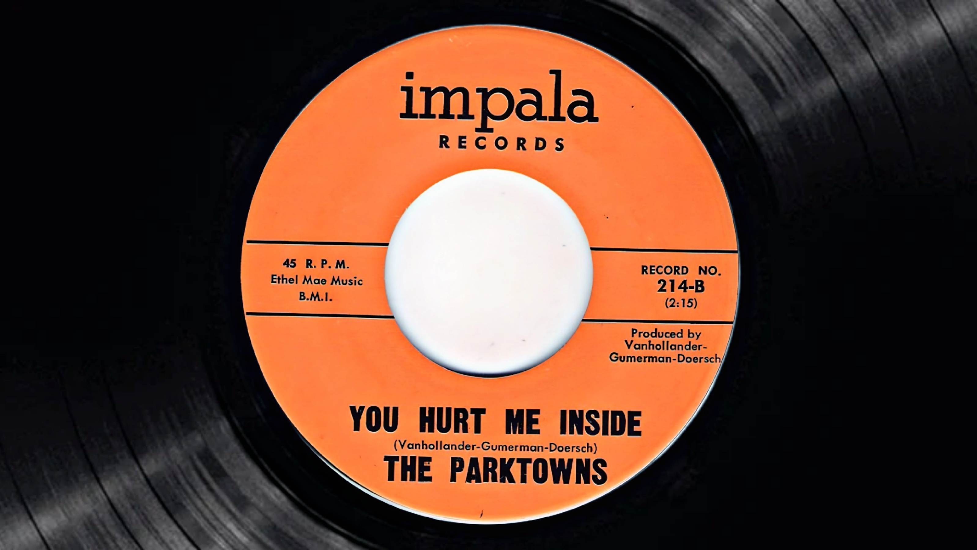 The Parktowns - You Hurt Me Inside