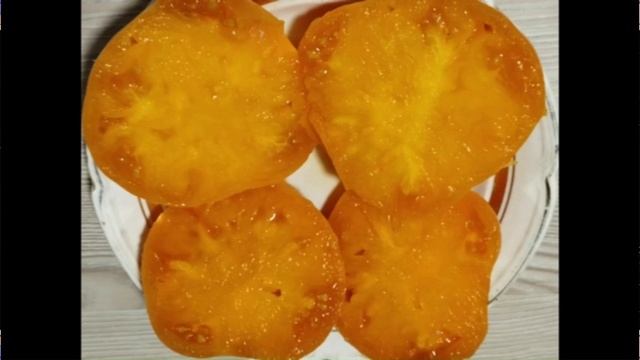 Каталог томатов на 2026 год. Часть 12. СКИДКИ на СЕМЕНА!   г. Киров.  т. 89229284031