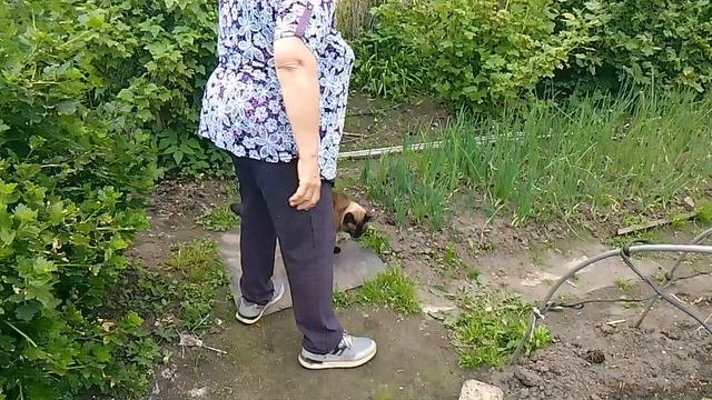 VID_20250601_095213.mp4 Дуся