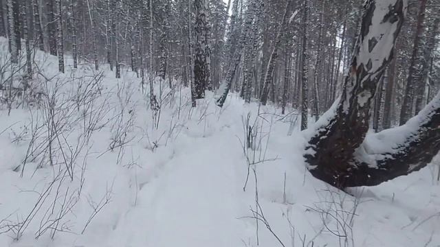 Все так и было .Гремячая грива.Красноярск