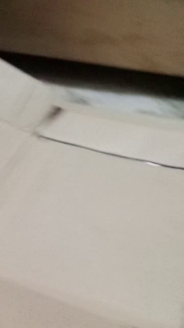 новый мэтр и трек (гонки на выживание) 🔥