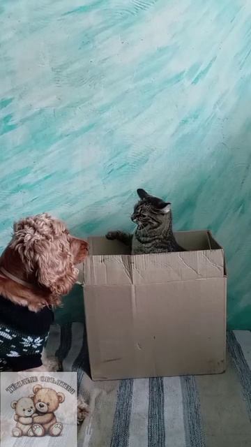 Мохнатый сюрприз🐶🐱🧶

#вязание #рукоделие #юмор #животные #собака #кошка #смех #сюрприз #домашнийл