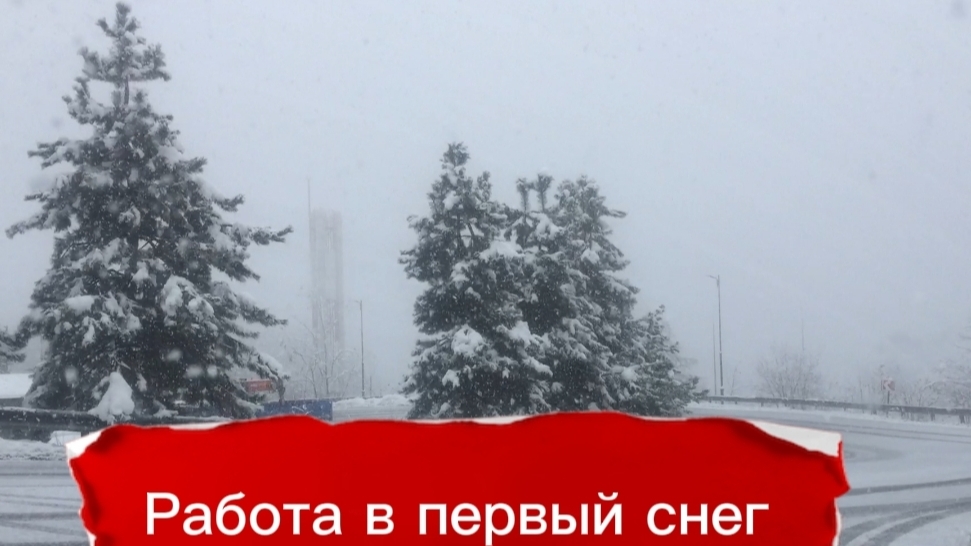 Кинули на деньги? / Забастовка 15 декабря / Первый снег в Поляне