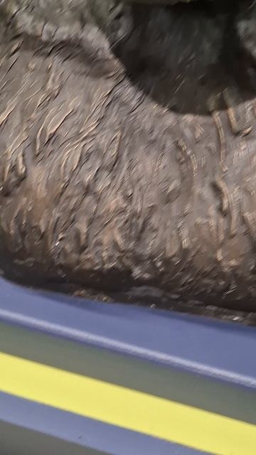 Человек умелый, женщина наш предок❤️🔥#в Музее истории Мироздания #человек #археология #мир #истори