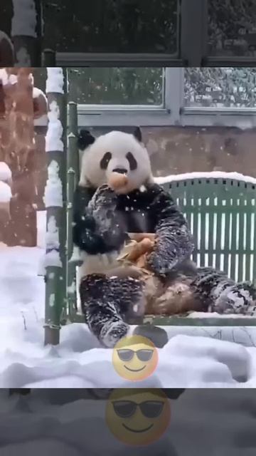 МмИиЛлОоТта 🫶😼😎