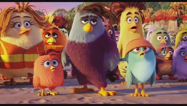 Смотреть онлайн Angry Birds в кино The Angry Birds Movie - Трейлер