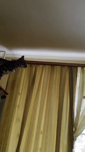 Гиперактивность - это мы