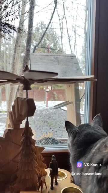 Охота
#русскаяшотландия