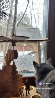 Охота
#русскаяшотландия