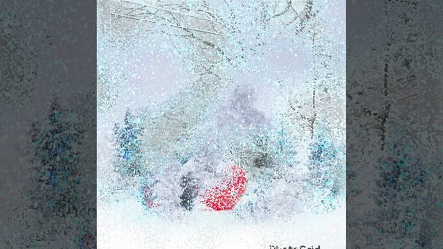 Метель  Юлия Михальчик