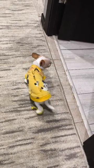 походка от бедра в новых сапожках