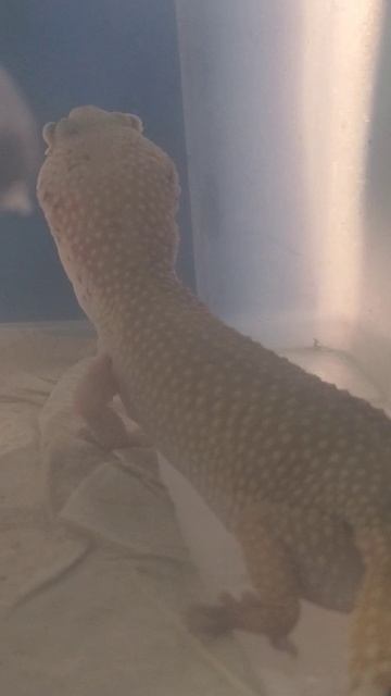 Утро в нашем коллективе. 14 декабря 2025 г.