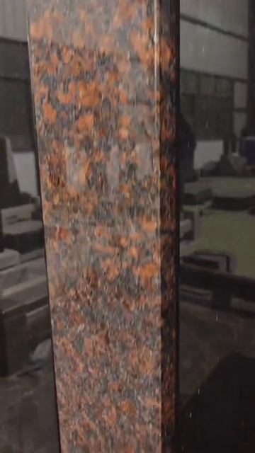 Модель ic001 от 233'000₽