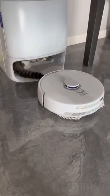 Робот-пылесос не смог вернуться на базу, потому что теперь это база кота