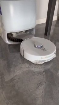 Робот-пылесос не смог вернуться на базу, потому что теперь это база кота