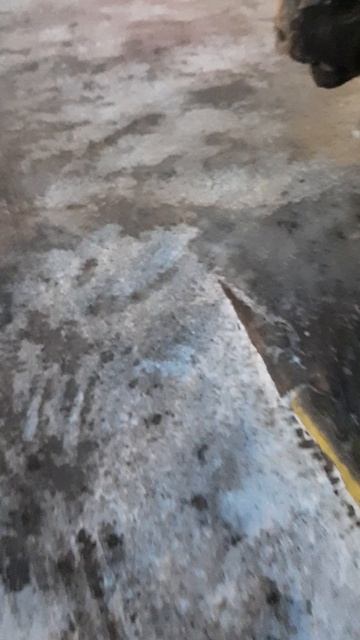 Патрушева(Тюменский *огород*)