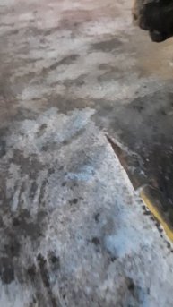 Патрушева(Тюменский *огород*)