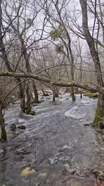 Крым Исток Черной Реки Вода бьет фонтаном прям с горы