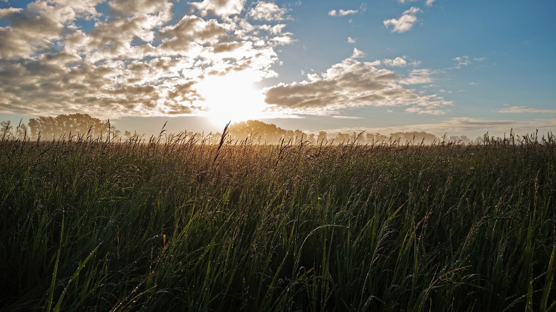 21.06.12 Салаир