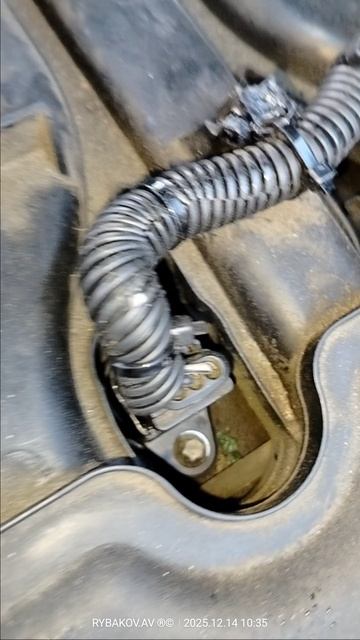 замена масла на 334229 км.