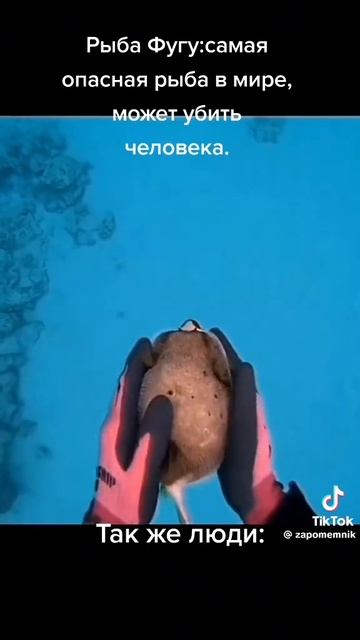 через 15 мин трансляция