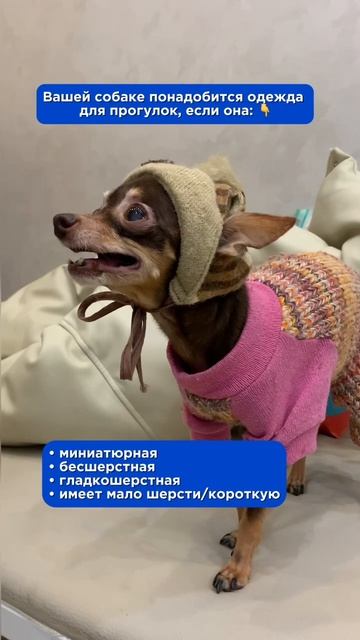 Модный приговор