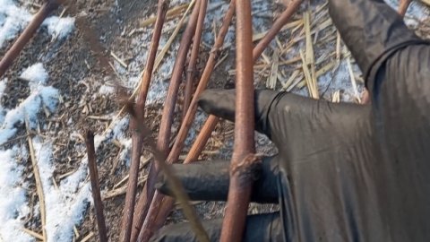 Обрезала виноград. Что на черенки, а что-то на костёр. Утеплила выгул курочкам, теперь плюс.