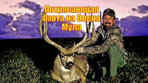 Потрясающая Охота на Оленя Мула заканчивается в Последний день, при последнем свете Дня