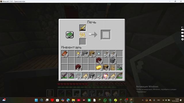 выживаю в мире безликий гаст (сид -44422666513113)