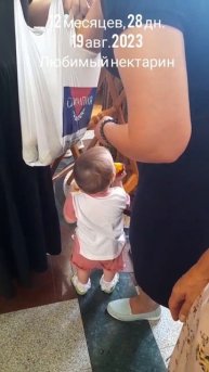 12 мес.,28 дн.Нектарин любимый.(19 авг.2023).mp4