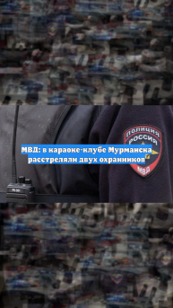 МВД: в караоке-клубе Мурманска расстреляли двух охранников