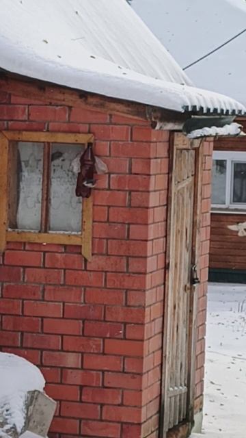 ЗАВТРАК СИНИЧЕК