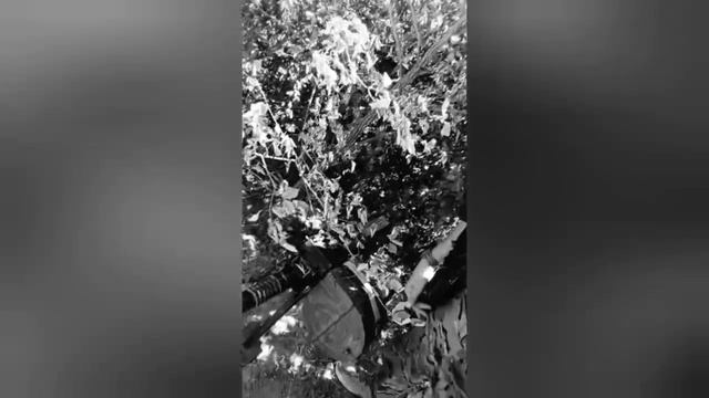 Фронтовая песня с зоны СВО "Спой мне брат.."