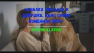 СОБАКА РВАЛАСЬ К ДЕВУШКЕ, ОДНО СЛОВО ИЗМЕНИЛО ВСЁ
