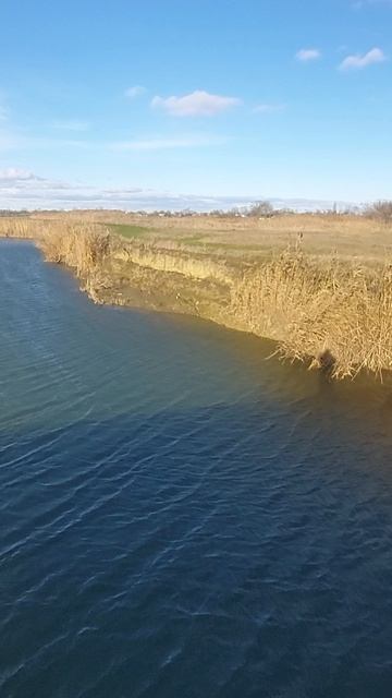 дгк х Лебеди Краснодарский край 13 декабря