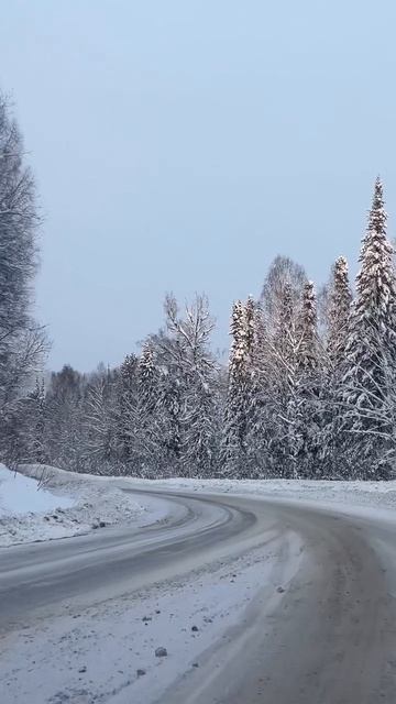 Горный Алтай АлександрАнтоненко #влог #рилс #reels #природа #горныйалтай #алтай #горный