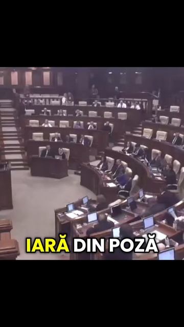 🔴 Jos haita galbenă în frunte cu Maia Grisovna....