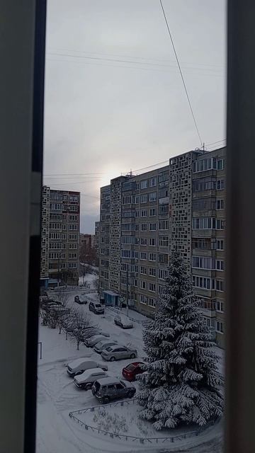 Перезагрузка завершена.mp4 #видизокна #зима #морозисолнце