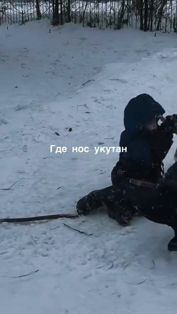 Вези меня ледянка в детство