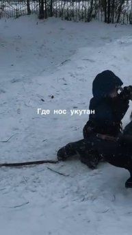 Вези меня ледянка в детство