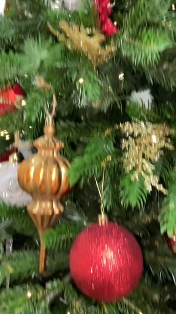 Наша ёлочка 2026