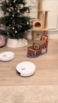 #приколы #юмор #прикол #смешно #коты #кот #кошки #котята #топ #топчик #роликдня #видеодня #лучшее #л