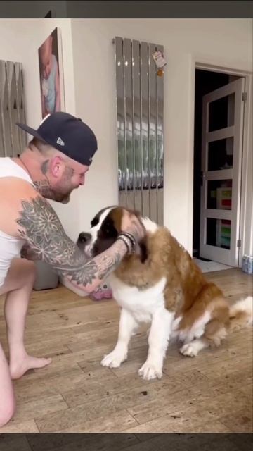 прям одно и тоже #shorts