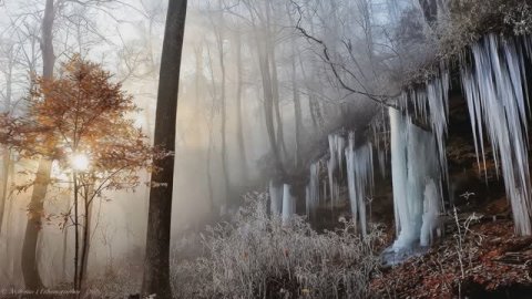 Новогодняя сказка