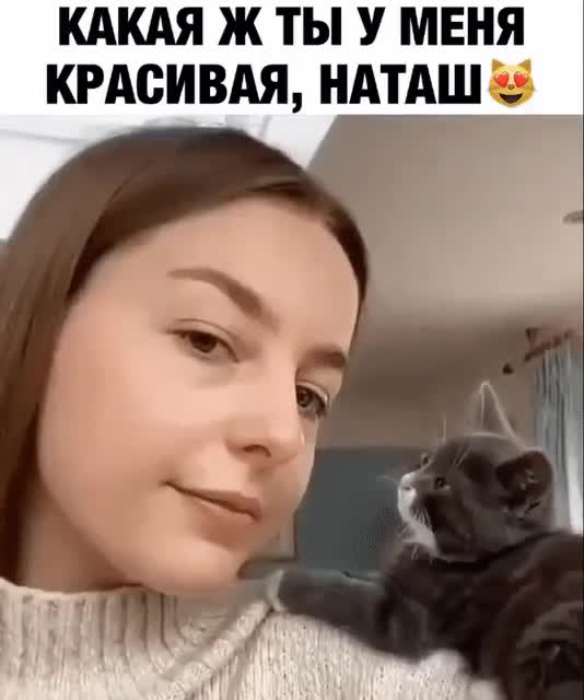 #прикольныеистории #cats #catmodel #милота #bestmeow #cozycat #смешноеинтервью #котикирадуют