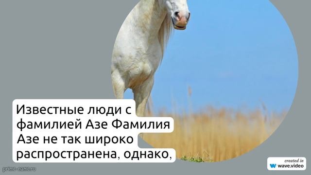 Фамилия Азе: история, происхождение и склонение – все, что вы хотели знать о значении этого имени