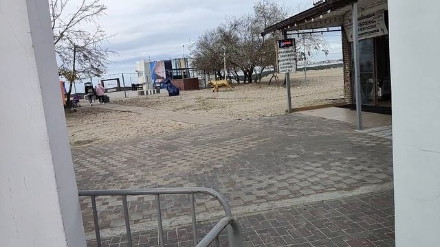 Анапа. Сегодня морозный день! Ветер и шторм стихли! Лаунж Зона 14 декабря 2025.