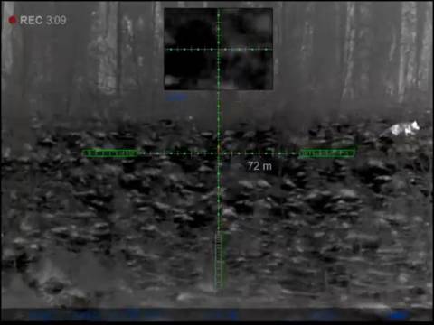 458 Lott Subsonic vs fox 1